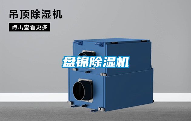 盤錦除濕機