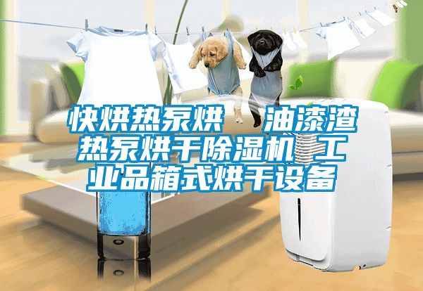 快烘熱泵烘  油漆渣熱泵烘干除濕機 工業品箱式烘干設備