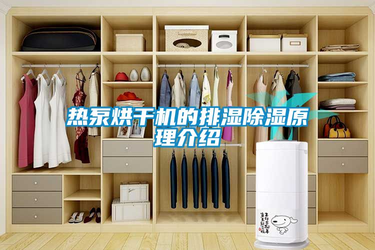 熱泵烘干機(jī)的排濕除濕原理介紹