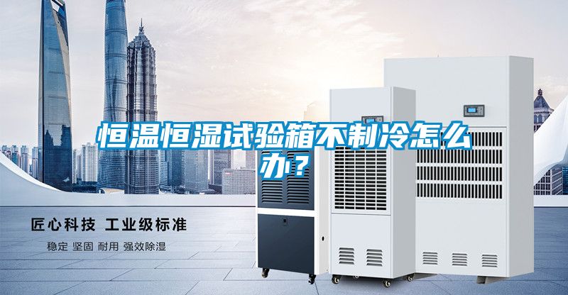 恒溫恒濕試驗箱不制冷怎么辦？