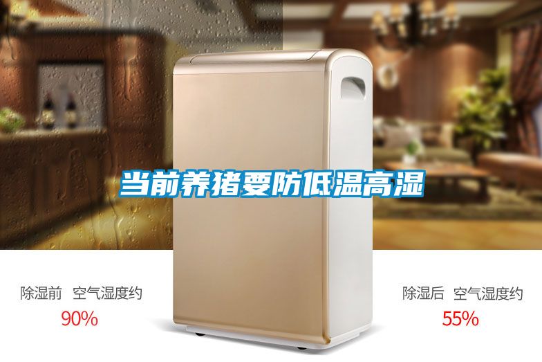 當前養豬要防低溫高濕