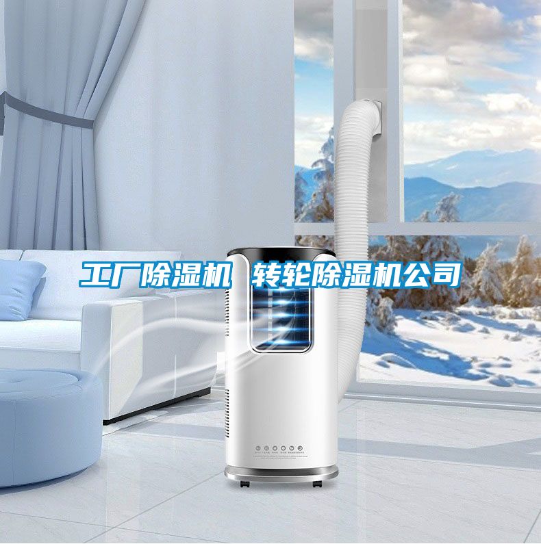 工廠除濕機 轉輪除濕機公司