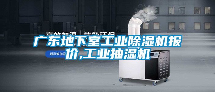 廣東地下室工業除濕機報價,工業抽濕機