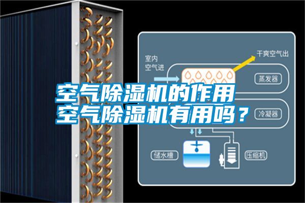 空氣除濕機的作用 空氣除濕機有用嗎？