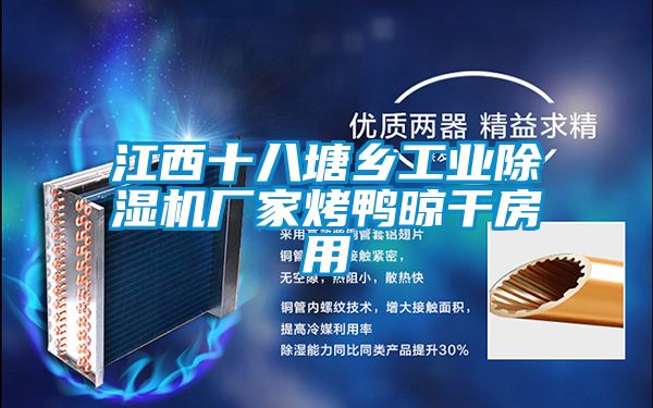 江西十八塘鄉工業除濕機廠家烤鴨晾干房用