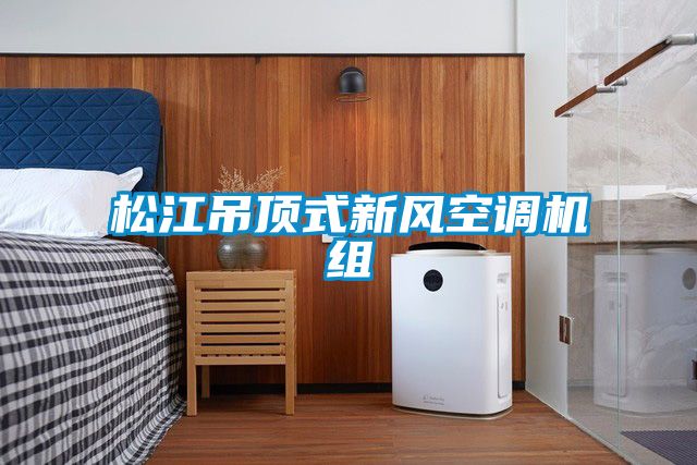 松江吊頂式新風空調機組