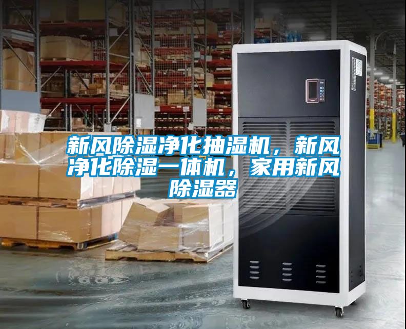 新風除濕凈化抽濕機，新風凈化除濕一體機，家用新風除濕器