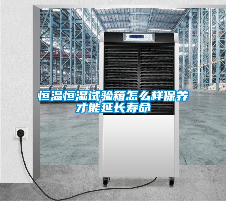 恒溫恒濕試驗箱怎么樣保養才能延長壽命