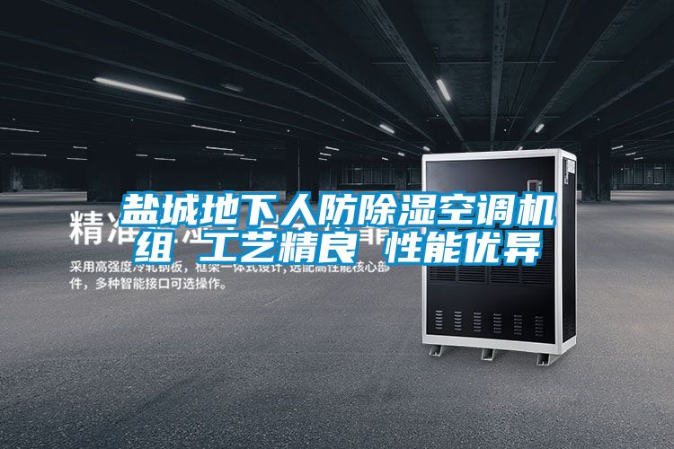 鹽城地下人防除濕空調(diào)機(jī)組 工藝精良 性能優(yōu)異