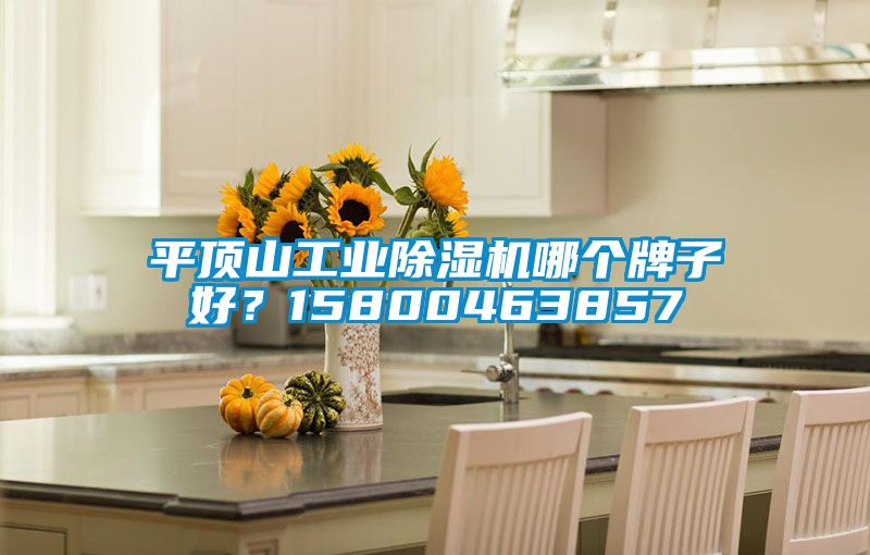 平頂山工業除濕機哪個牌子好？15800463857