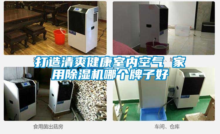 打造清爽健康室內空氣 家用除濕機哪個牌子好