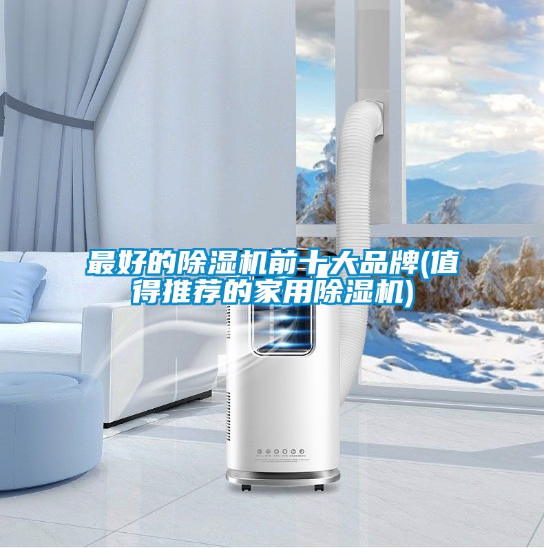 最好的除濕機前十大品牌(值得推薦的家用除濕機)