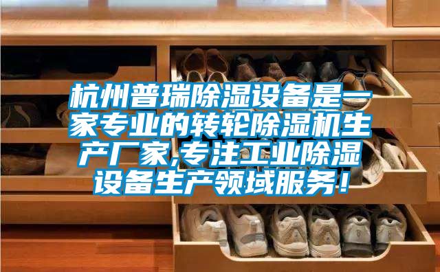杭州普瑞除濕設(shè)備是一家專業(yè)的轉(zhuǎn)輪除濕機(jī)生產(chǎn)廠家,專注工業(yè)除濕設(shè)備生產(chǎn)領(lǐng)域服務(wù)！