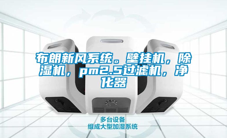 布朗新風(fēng)系統(tǒng)。壁掛機(jī)，除濕機(jī)，pm2.5過濾機(jī)，凈化器