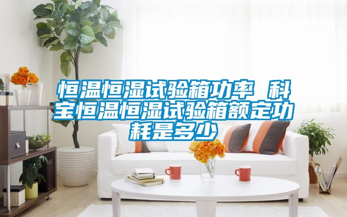恒溫恒濕試驗箱功率 科寶恒溫恒濕試驗箱額定功耗是多少