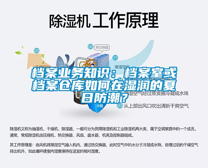 檔案業(yè)務(wù)知識(shí)：檔案室或檔案?jìng)}庫(kù)如何在濕潤(rùn)的夏日防潮？