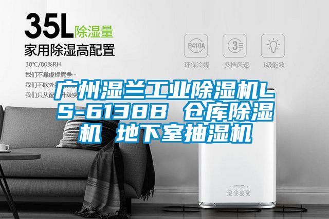廣州濕蘭工業除濕機LS-6138B 倉庫除濕機 地下室抽濕機