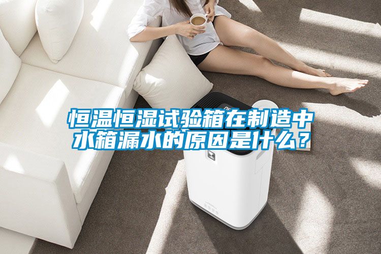 恒溫恒濕試驗箱在制造中水箱漏水的原因是什么？