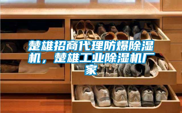 楚雄招商代理防爆除濕機，楚雄工業除濕機廠家