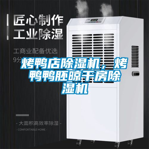 烤鴨店除濕機，烤鴨鴨胚晾干房除濕機