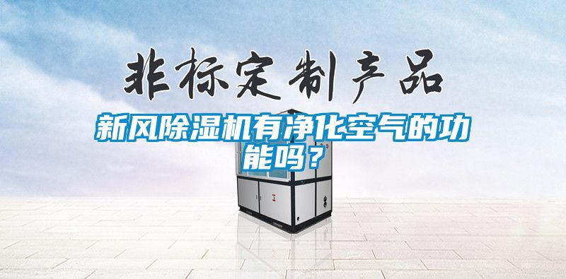 新風(fēng)除濕機(jī)有凈化空氣的功能嗎？
