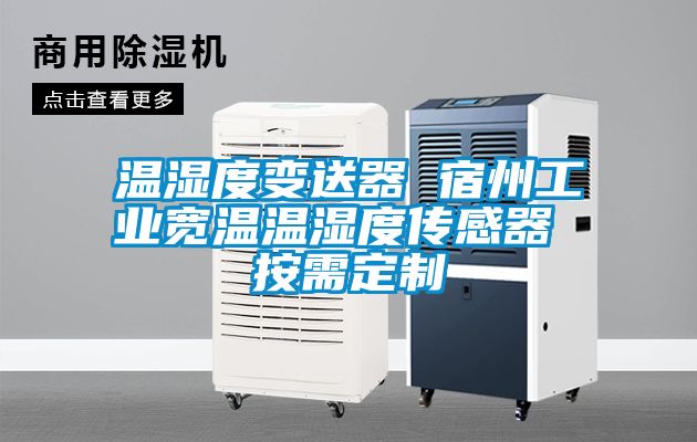 溫濕度變送器 宿州工業寬溫溫濕度傳感器 按需定制