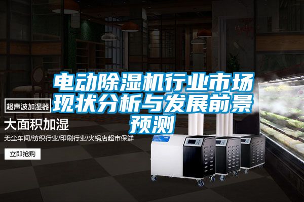 電動除濕機行業(yè)市場現(xiàn)狀分析與發(fā)展前景預測