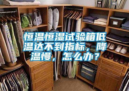 恒溫恒濕試驗箱低溫達不到指標，降溫慢，怎么辦？