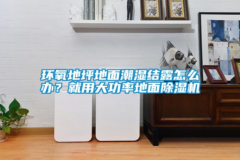 環(huán)氧地坪地面潮濕結(jié)露怎么辦？就用大功率地面除濕機(jī)