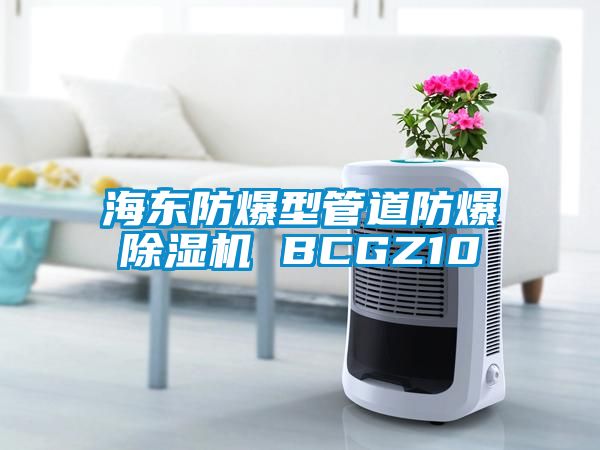 海東防爆型管道防爆除濕機 BCGZ10