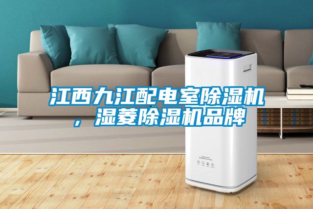 江西九江配電室除濕機，濕菱除濕機品牌