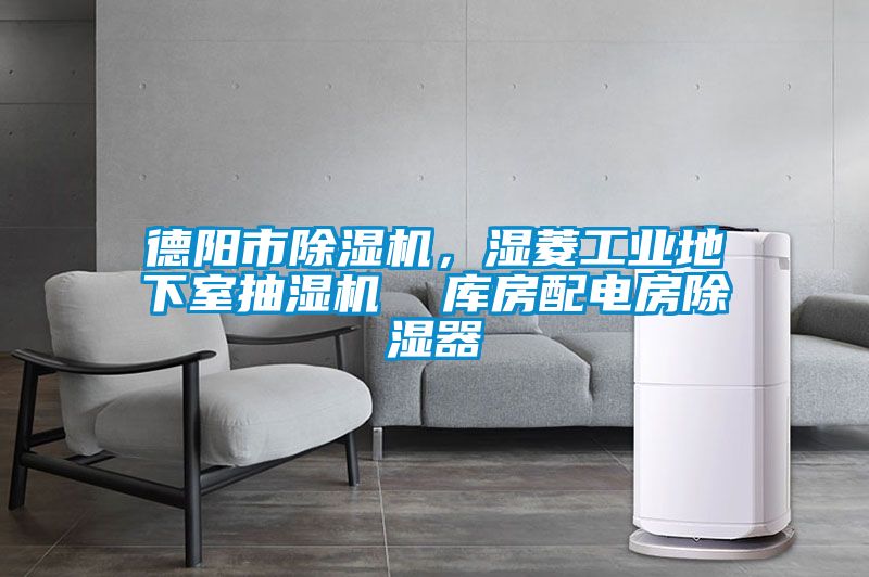 德陽市除濕機(jī)，濕菱工業(yè)地下室抽濕機(jī)  庫房配電房除濕器