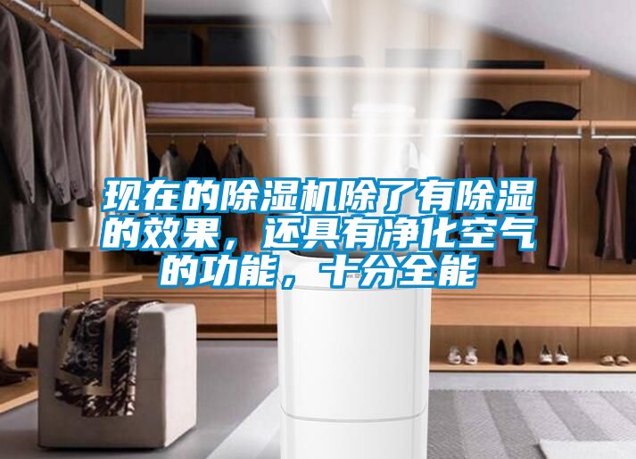 現在的除濕機除了有除濕的效果，還具有凈化空氣的功能，十分全能