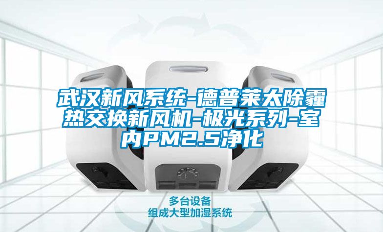武漢新風系統-德普萊太除霾熱交換新風機-極光系列-室內PM2.5凈化