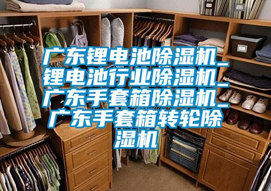 廣東鋰電池除濕機_鋰電池行業除濕機_廣東手套箱除濕機_廣東手套箱轉輪除濕機