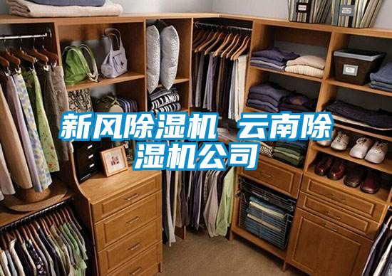 新風除濕機 云南除濕機公司