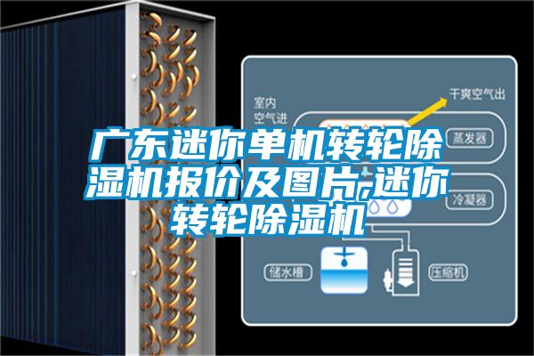 廣東迷你單機轉(zhuǎn)輪除濕機報價及圖片,迷你轉(zhuǎn)輪除濕機