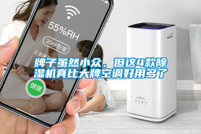 牌子雖然小眾，但這4款除濕機(jī)真比大牌空調(diào)好用多了