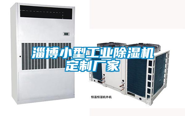 淄博小型工業除濕機定制廠家