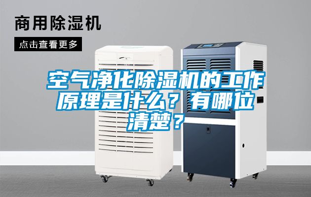 空氣凈化除濕機(jī)的工作原理是什么？有哪位清楚？