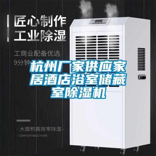 杭州廠家供應(yīng)家居酒店浴室儲藏室除濕機(jī)