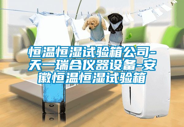 恒溫恒濕試驗箱公司-天一瑞合儀器設備-安徽恒溫恒濕試驗箱