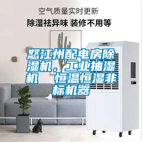 怒江州配電房除濕機(jī)，工業(yè)抽濕機(jī)  恒溫恒濕非標(biāo)機(jī)器