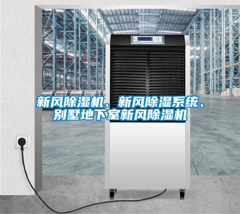 新風(fēng)除濕機(jī)、新風(fēng)除濕系統(tǒng)、別墅地下室新風(fēng)除濕機(jī)