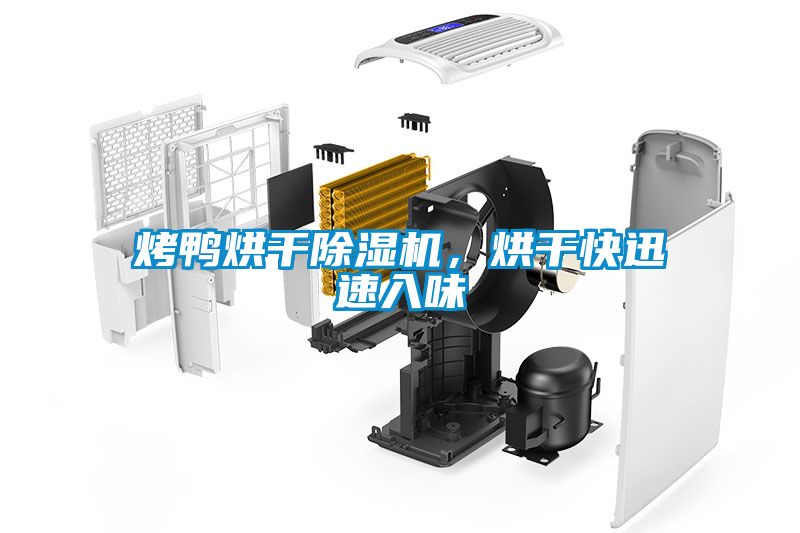 烤鴨烘干除濕機(jī)，烘干快迅速入味