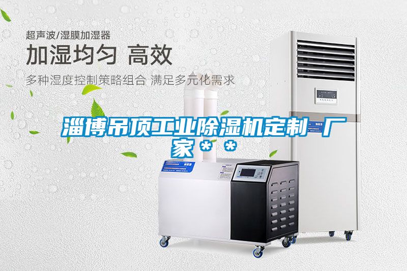 淄博吊頂工業除濕機定制 廠家＊＊