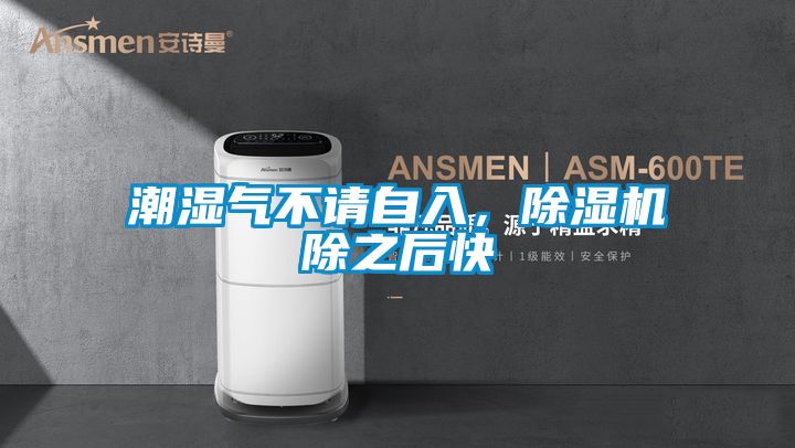 潮濕氣不請自入，除濕機除之后快