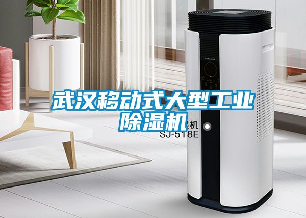 武漢移動式大型工業除濕機