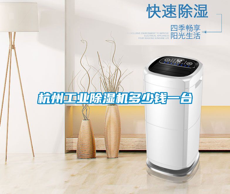 杭州工業除濕機多少錢一臺
