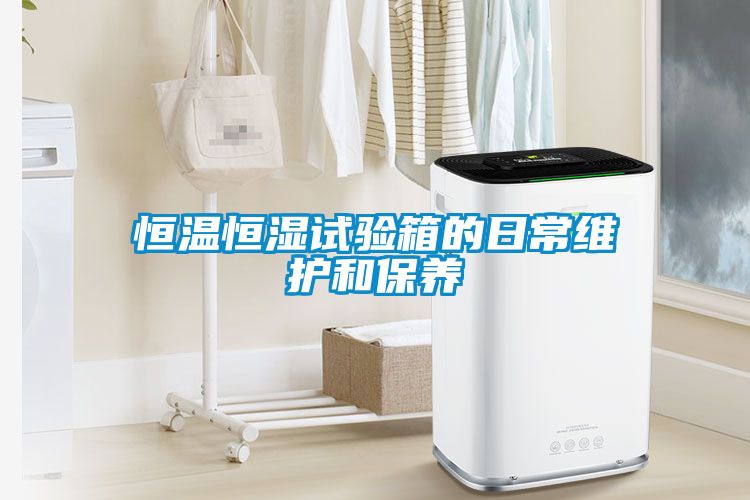 恒溫恒濕試驗箱的日常維護和保養